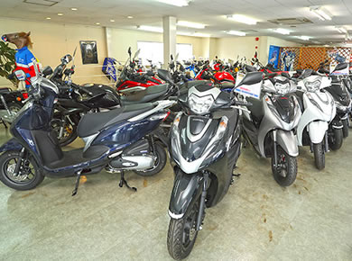 新車・中古車販売